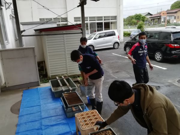 餅米のもみふり作業の写真