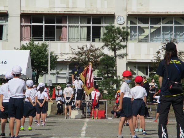 力いっぱい走って演技して、楽しんだ運動会の写真