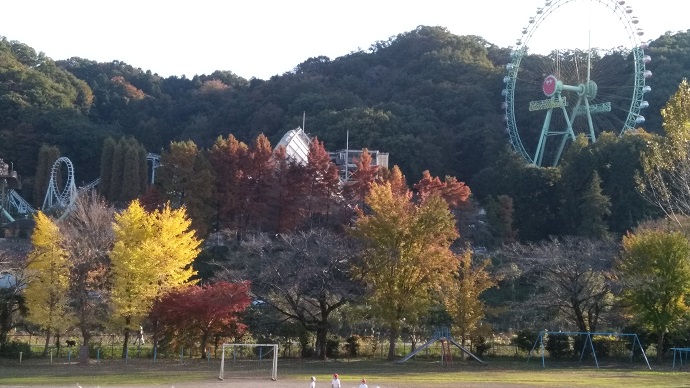 秋深まり、収穫の時の写真