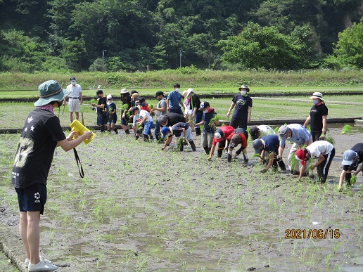 ５年生が田植えの写真