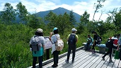 日光移動教室２日目ハイキング②の写真6