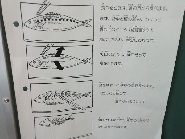 さんまの骨を・・・の写真