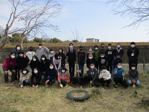 一の谷小に安兵衛桜の新しい命が受け継がれたの写真