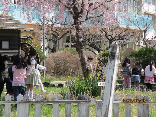 １年生の学びがスタート！の写真