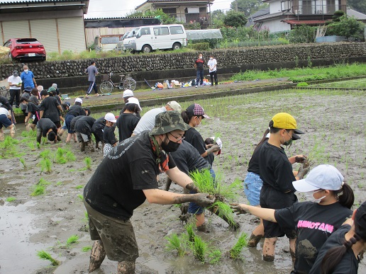 　学びの実りに期待！～５年生が田植え(2)～の写真