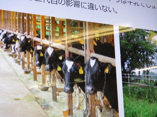おいしい牛乳のヒミツ　～前田牧場の牛乳のお話し～の写真