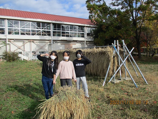 一の谷米、収穫から脱穀そして餅つきへの写真