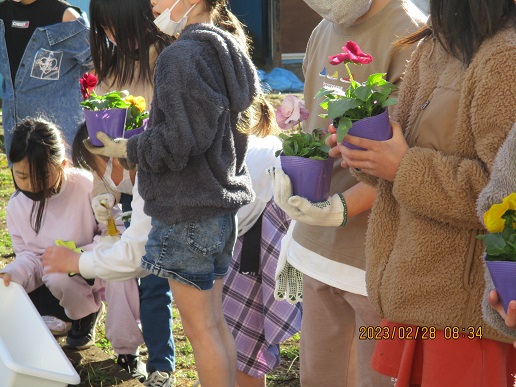 花いっぱい活動　～全校で卒業式・入学式を祝おう！～の写真