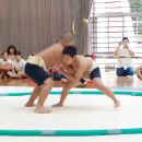 大熱戦、４年ぶりのあきる野市子ども相撲大会の写真