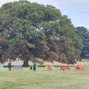 秋の学びがスタート　～昭和記念公園でこすもす学級の校外学習～　の写真