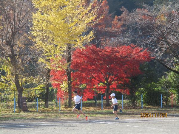 秋空のもと、今日も元気での写真