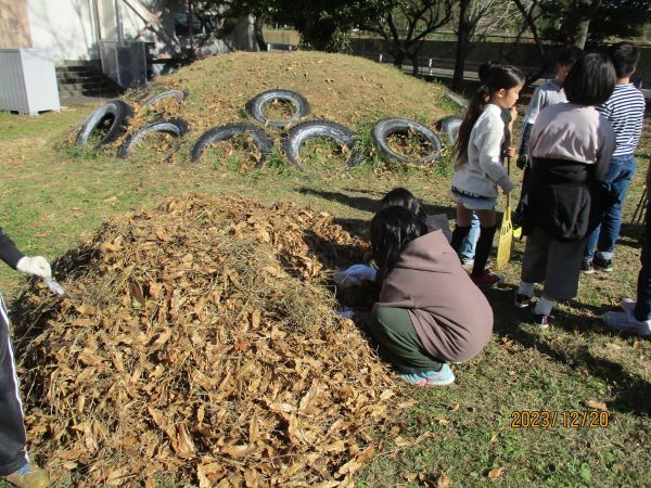 たき火体験で焼き芋に挑戦の写真