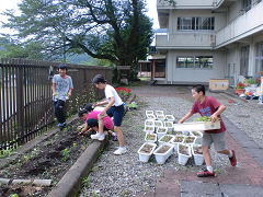 環境文化